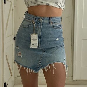 Zara The Destroyed Denim Skirt